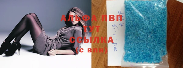 стаф Беломорск