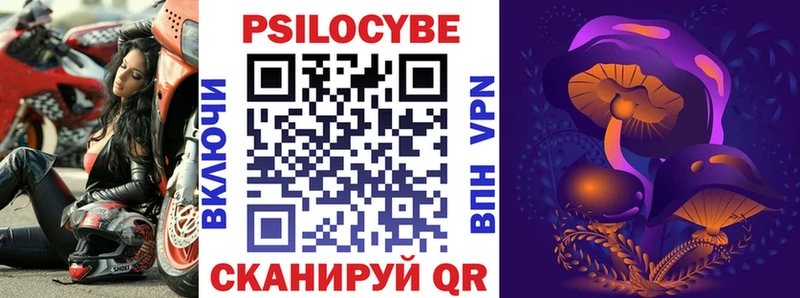 Купить закладки  Новомичуринск  Псилоцибиновые грибы Psilocybe 